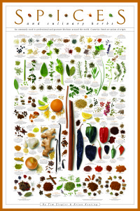 the spices poster by tim ziegler