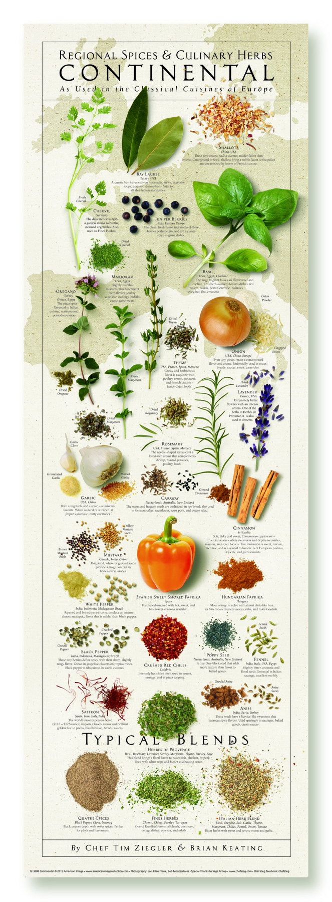 Continental (European) Regional Spices & Culinary Herbs Print