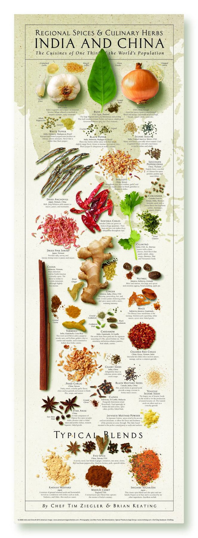 India & China Regional Spices & Culinary Herbs Poster