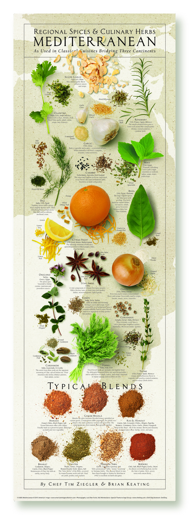 Mediterranean Spices & Herbs Print
