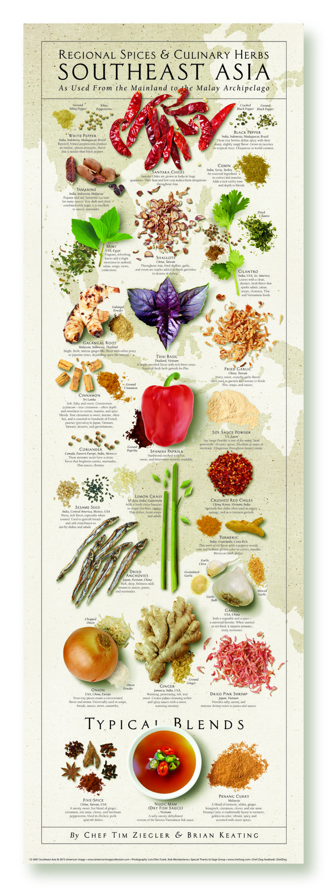 Southeast Asia Regional Spices & Culinary Herbs Print