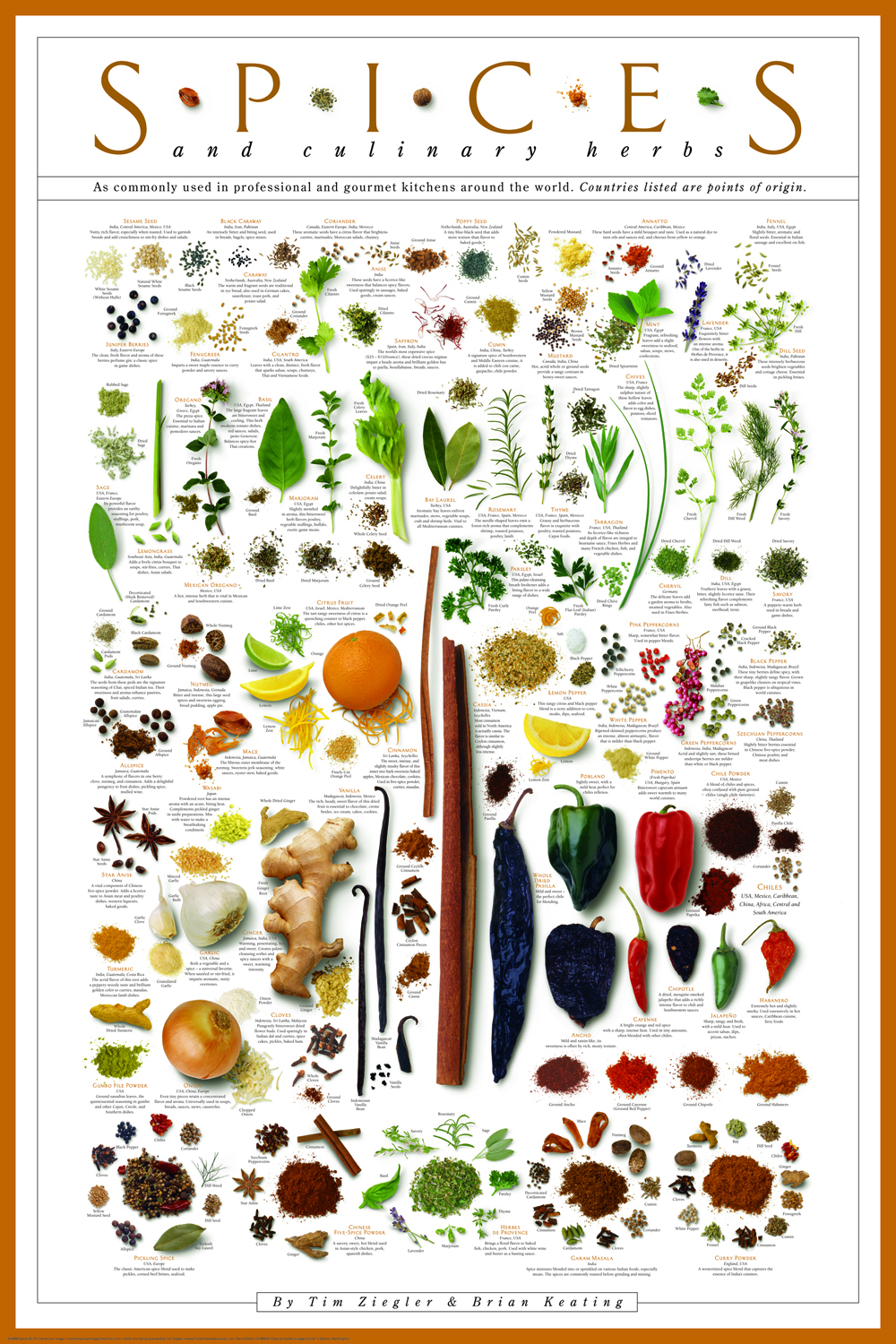Spices & Culinary Herbs Print